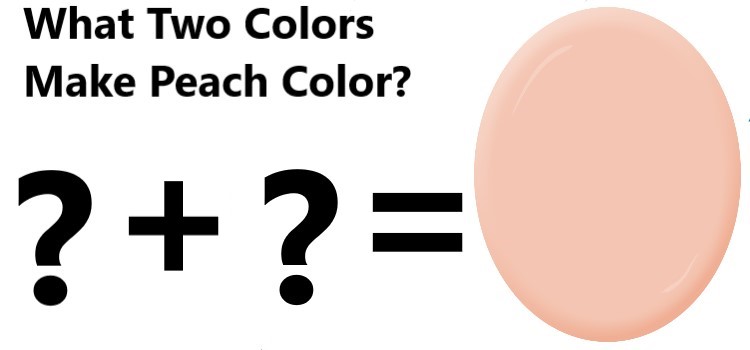 How To Make Peach Paint Color Mixing Guide