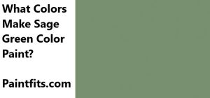 How To Make Sage Green Paint Color Mixing Guide What Colors Make Sage Green Color Paint 300x140