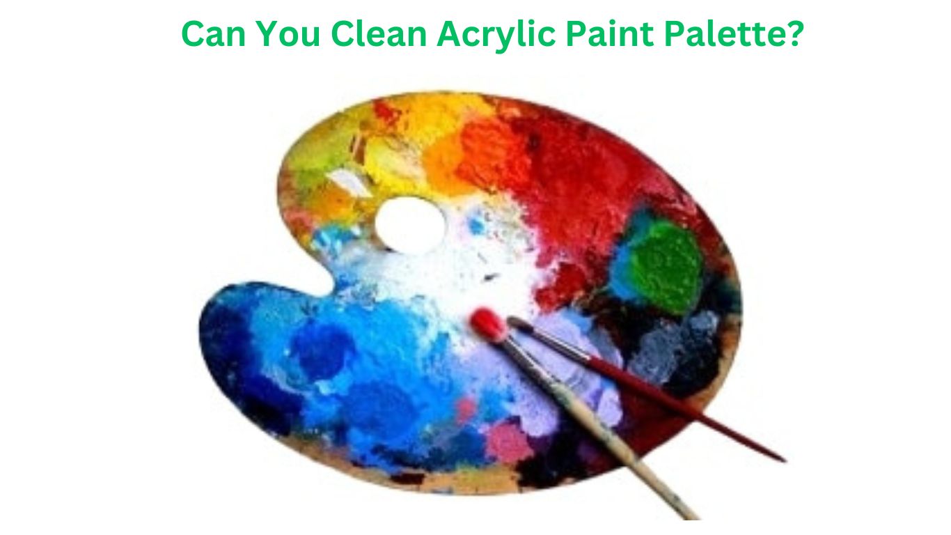 Can You Clean Acrylic Paint Palette