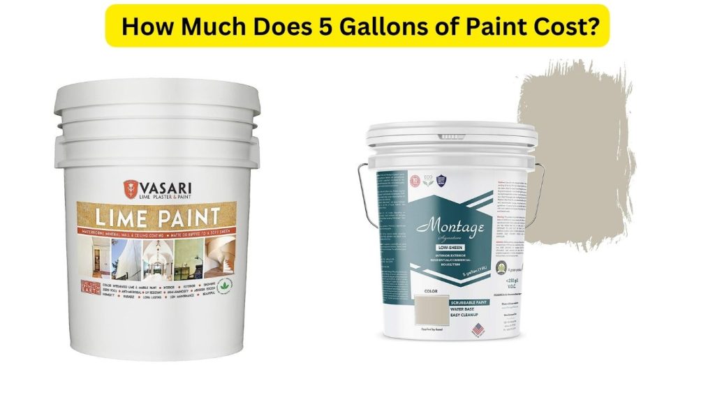 How Much Does 5 Gallons of Paint Cost
