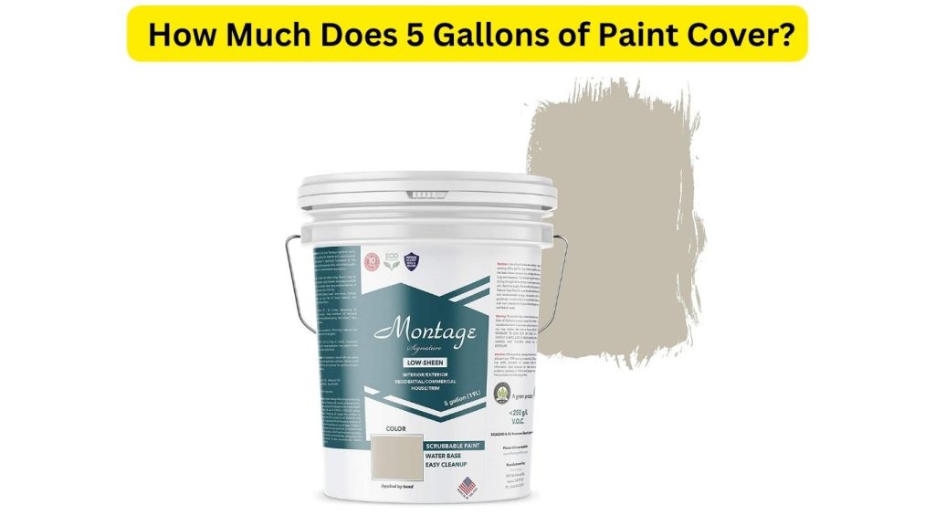 How Much Does 5 Gallons of Paint Cover
