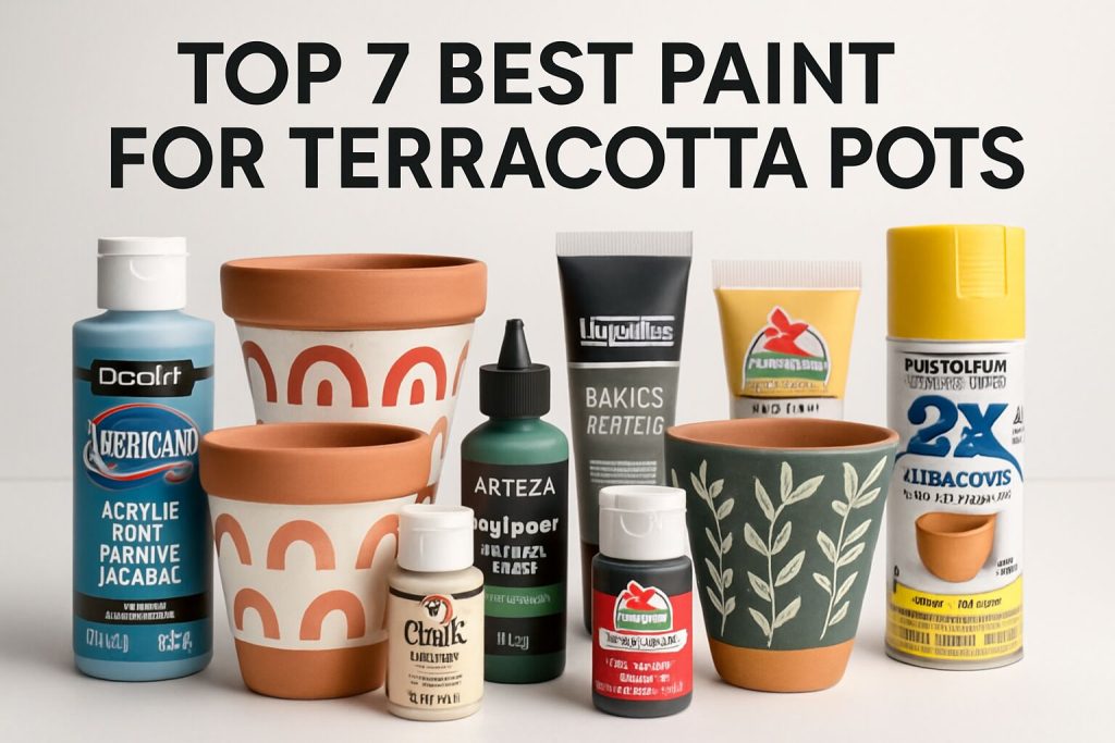 Best Paint for Terracotta Pots